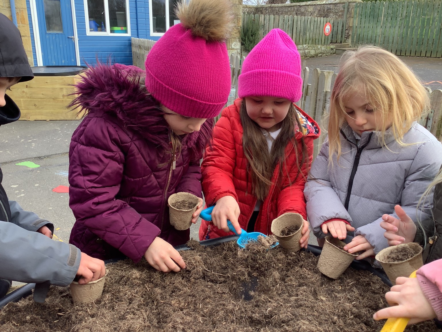 Pupils gardening