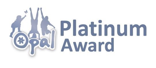 Platinum Logo