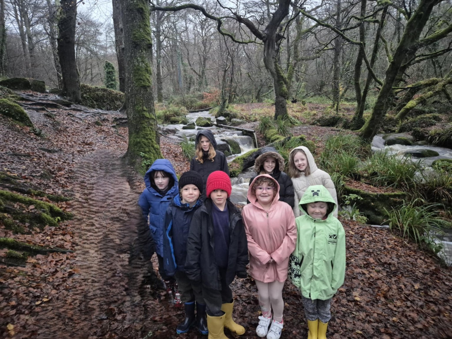 Visiting the woods