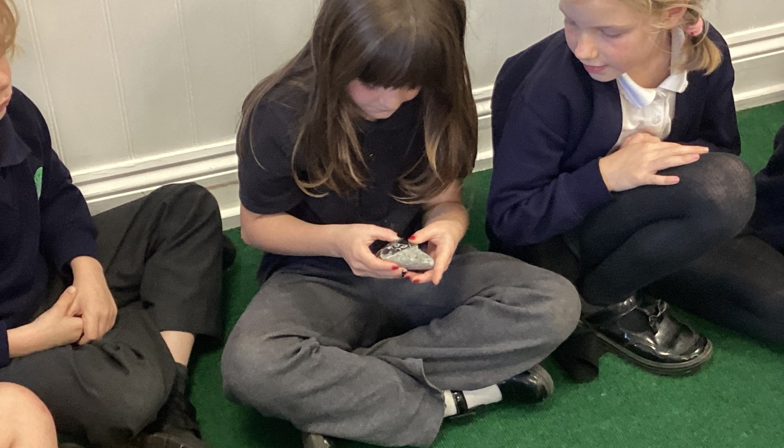 Looking at fossils from the Jurassic Coast 