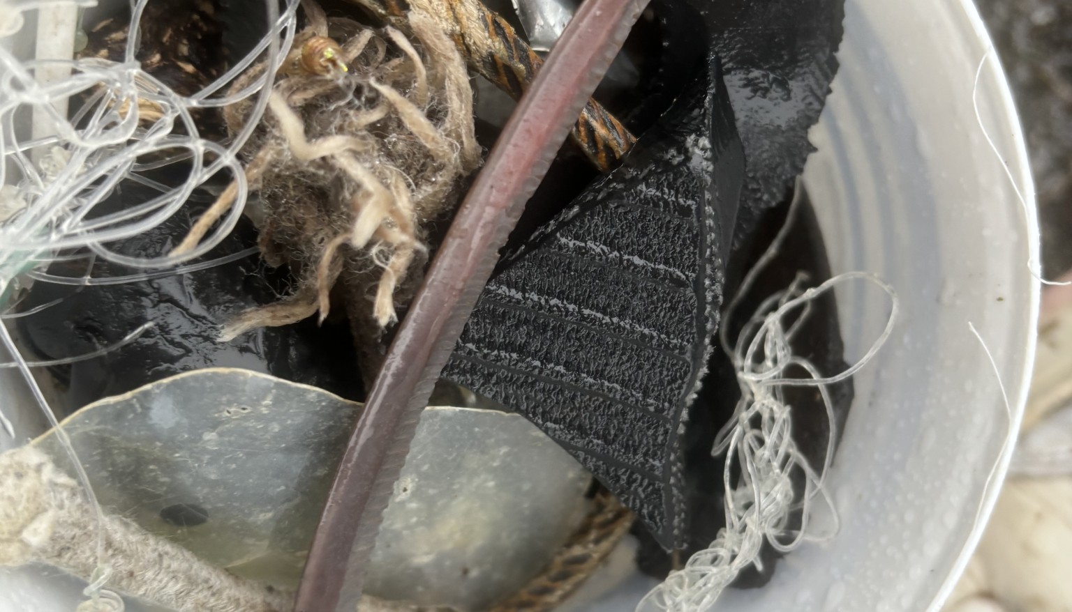 Location: Newlyn Beach