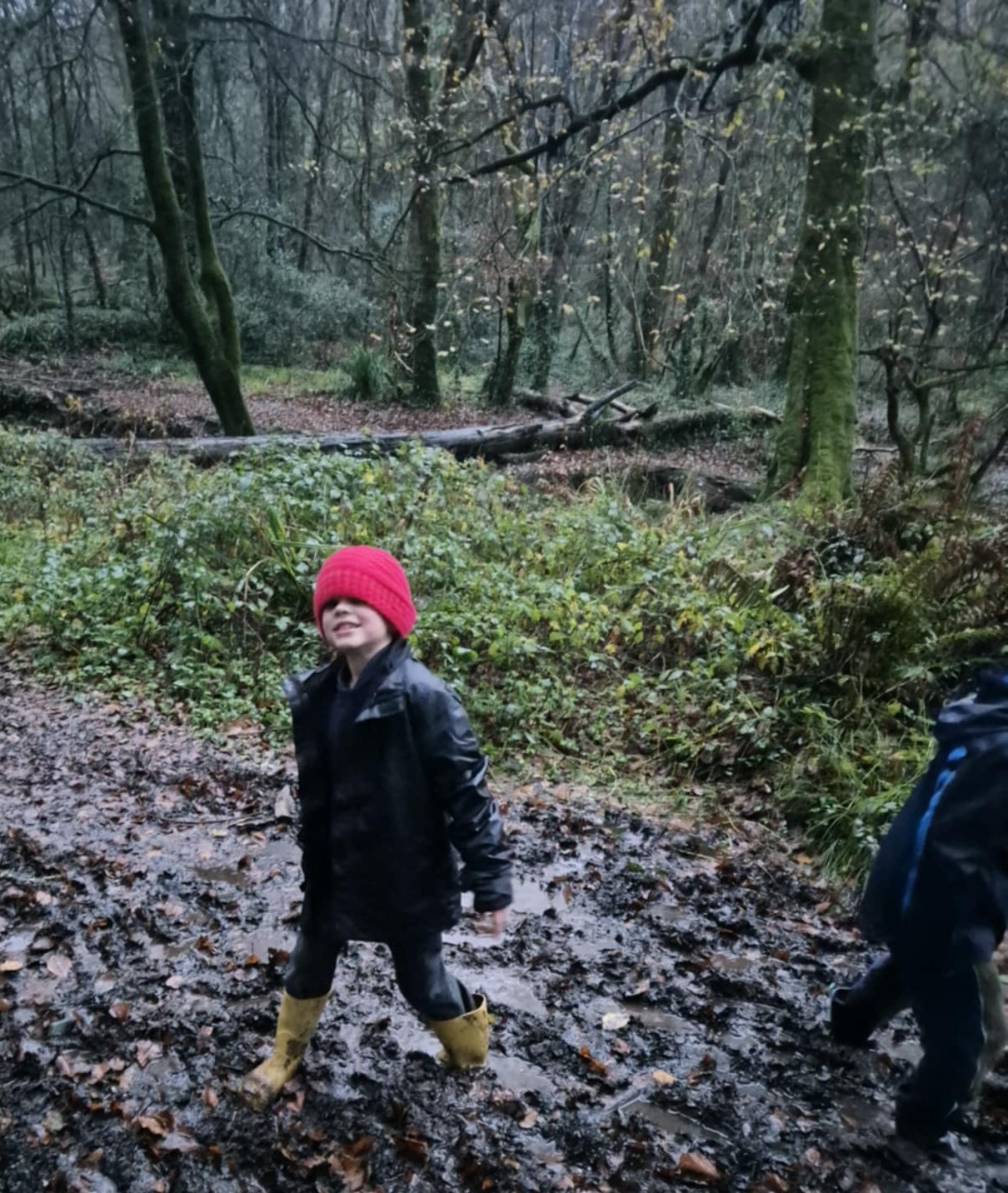 Visiting the woods