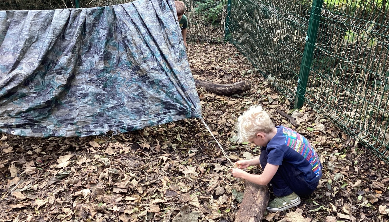 Forest School 