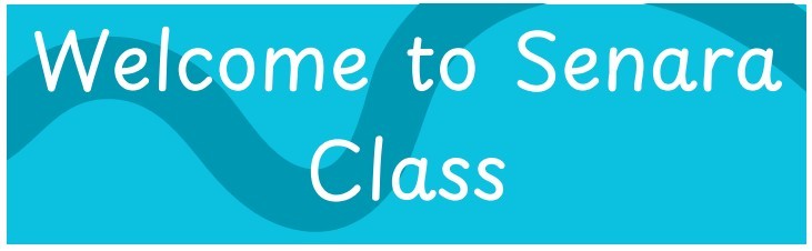 Welcome to Senara Class