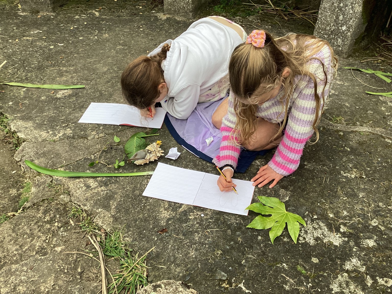 Spring Term - Personal Development and Enrichment opportunity
