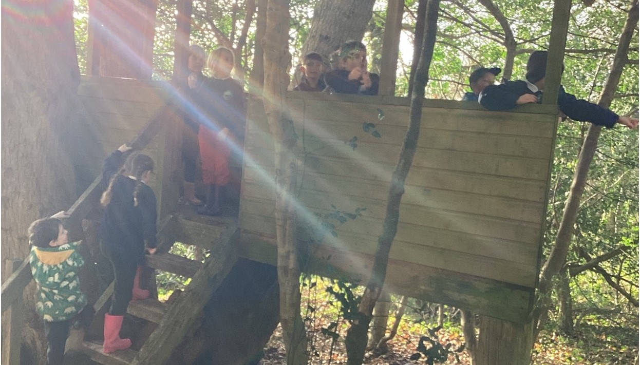 Treehouse