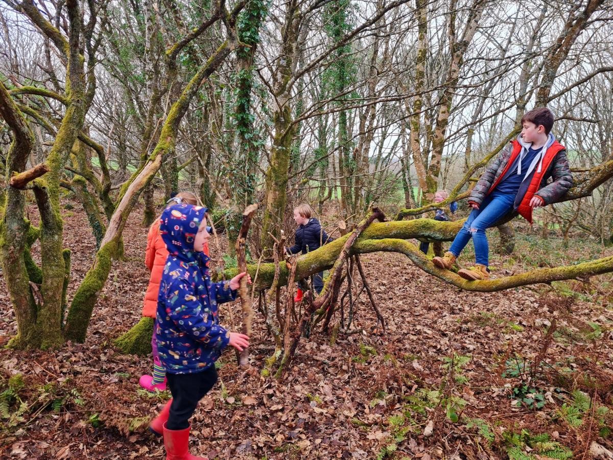 Forest School 