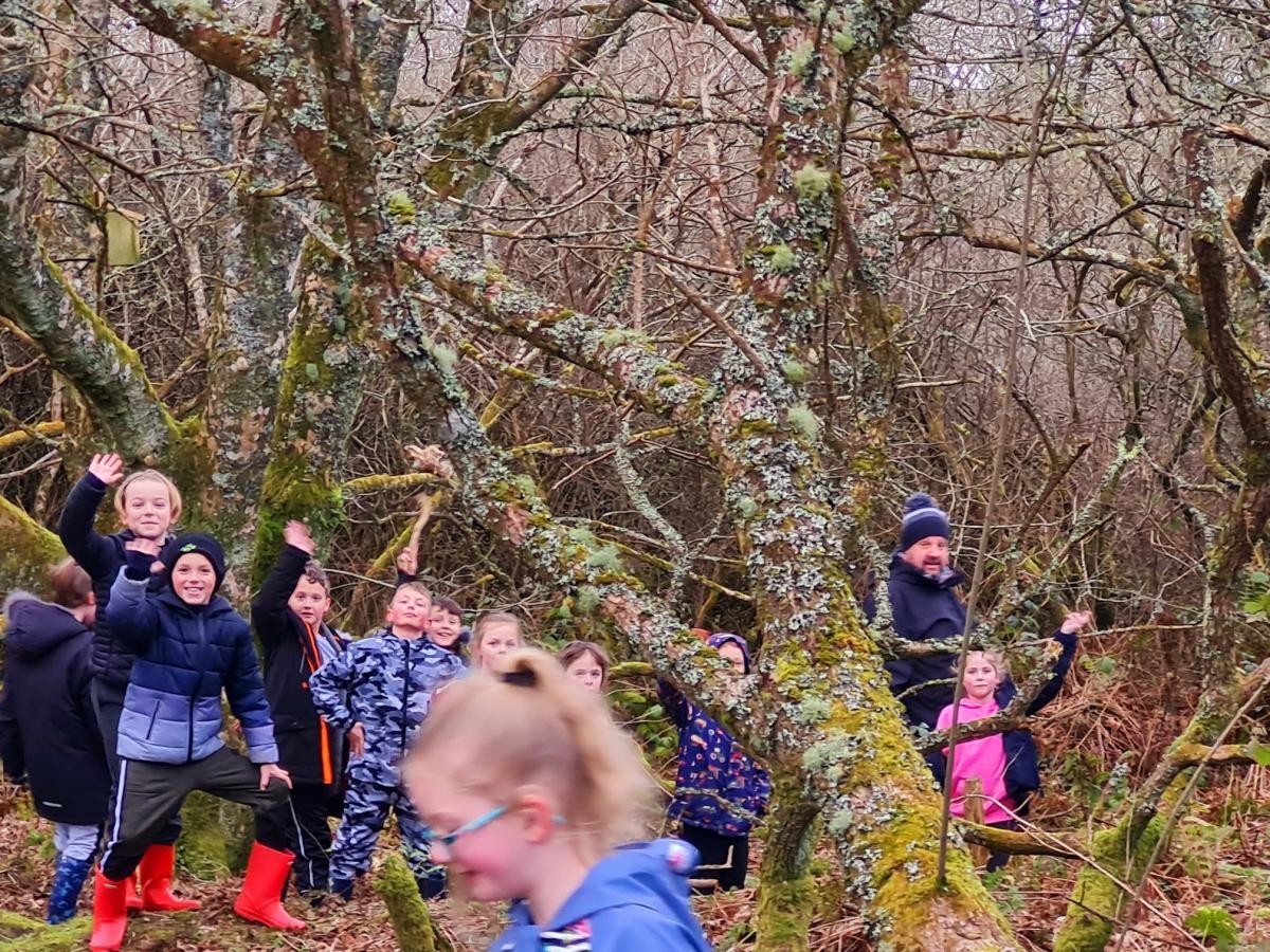 Forest School