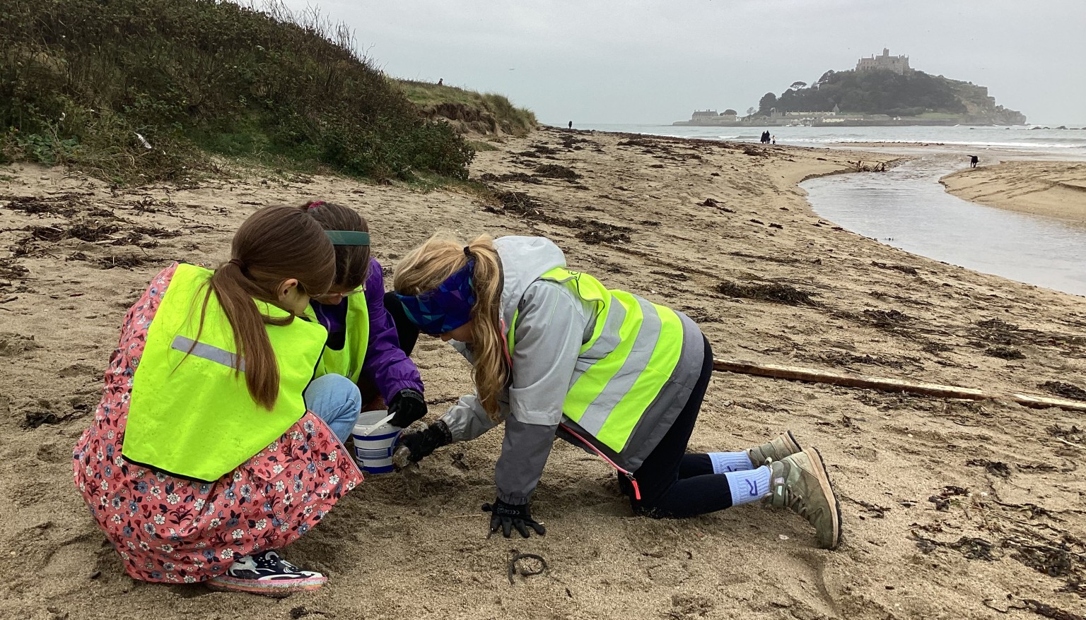 beach clean
