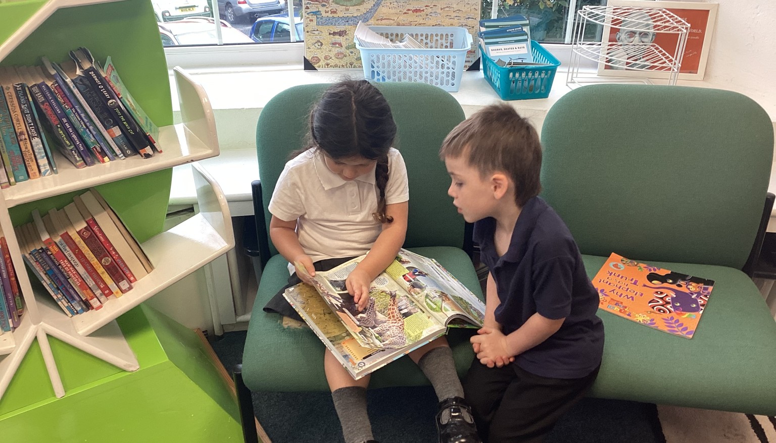 Reading in the library