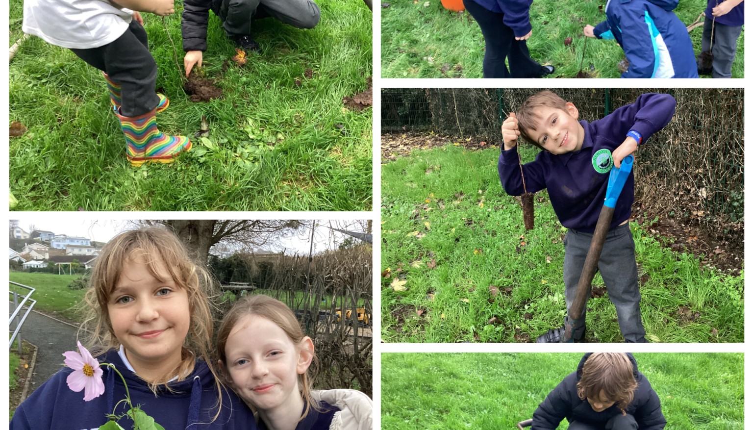 Digging and planting