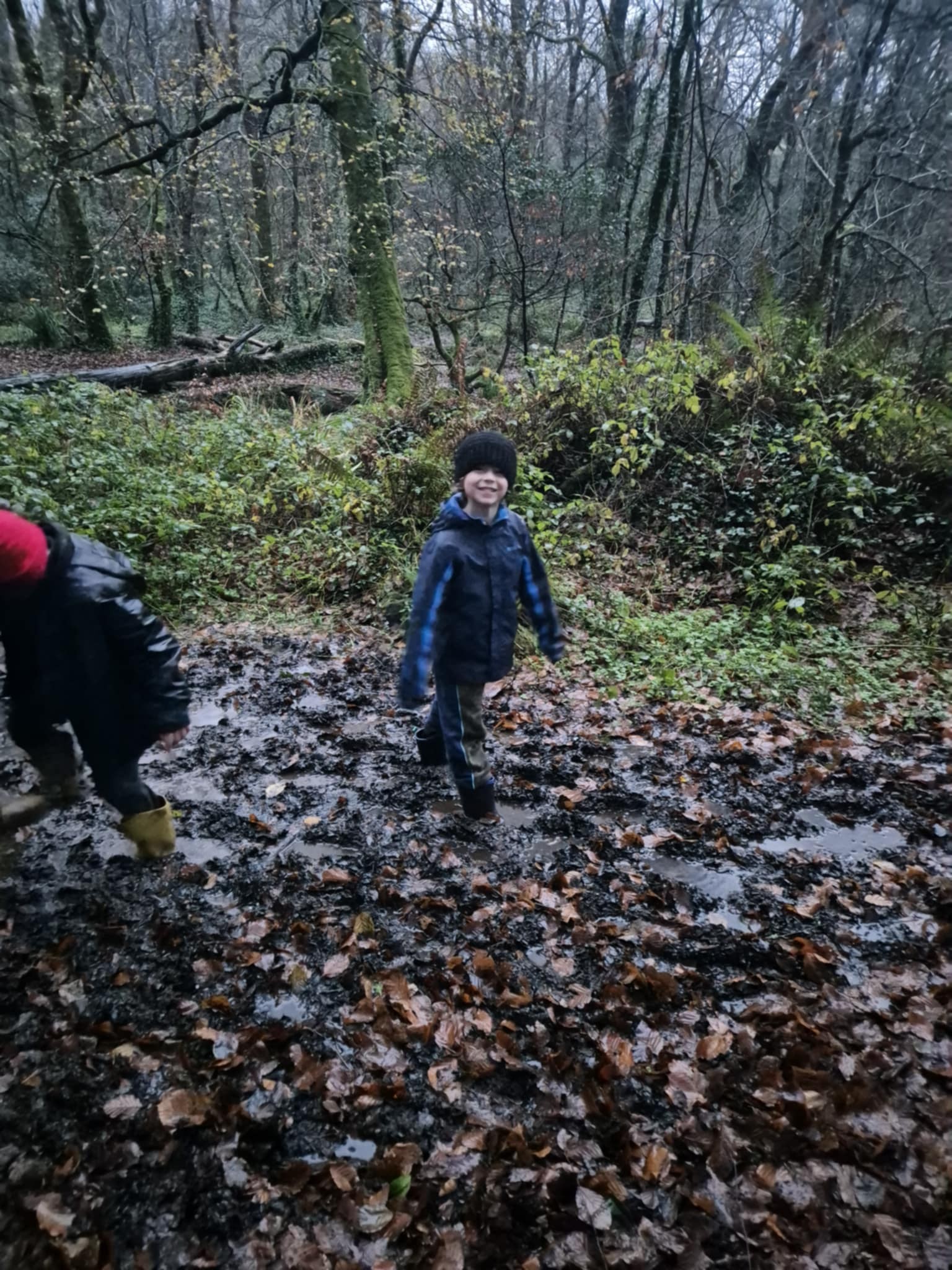 Visiting the woods