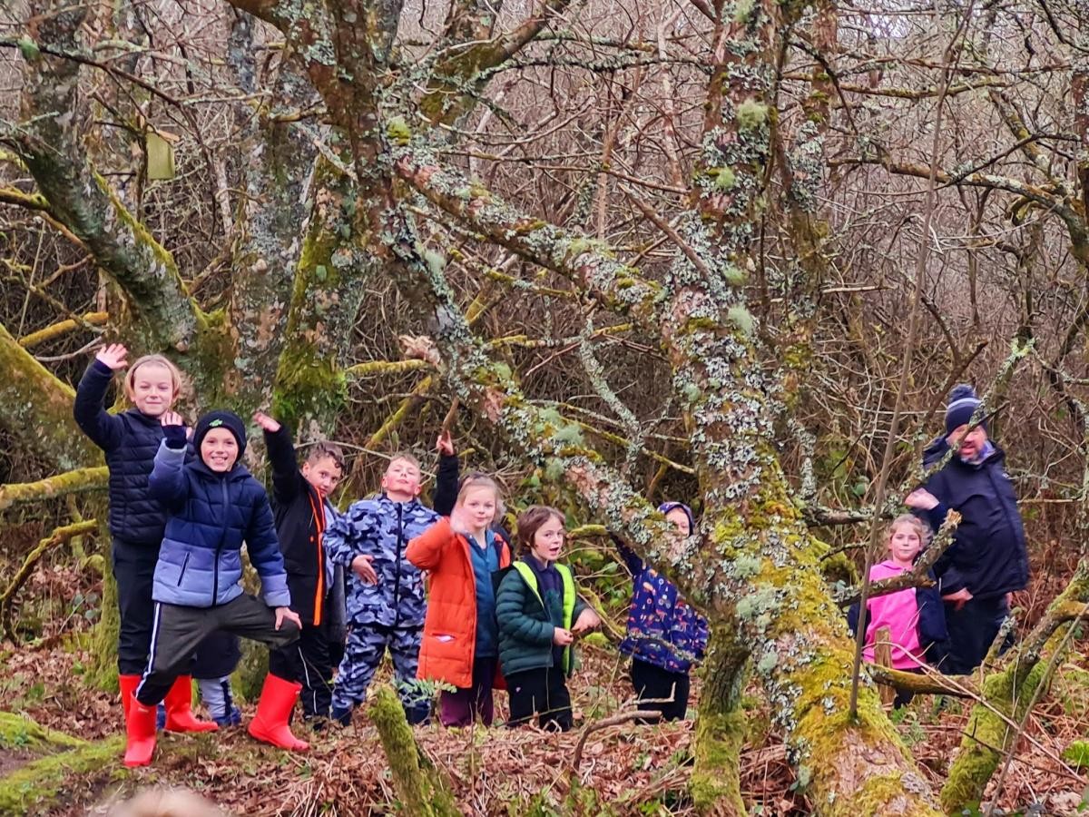 Forest School 