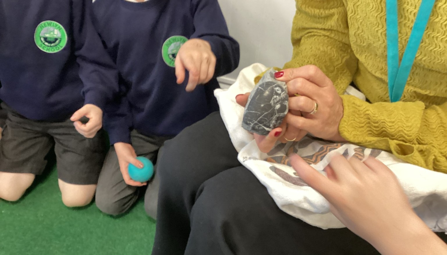 Looking at fossils from the Jurassic Coast 