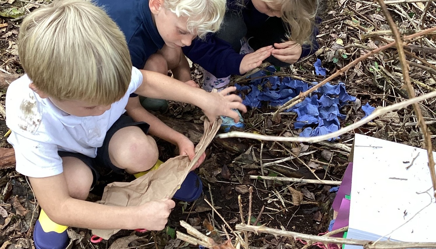 Forest School