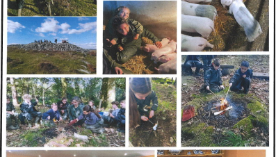 Caring for plants and animals