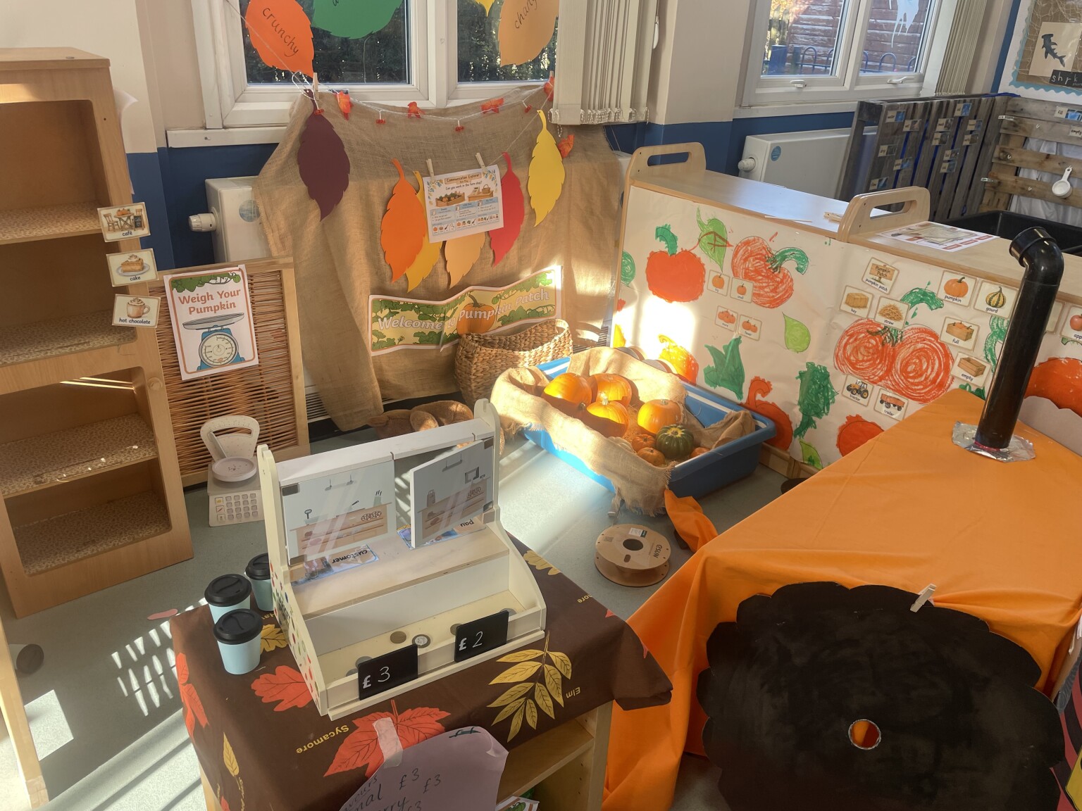 Pumpkin Patch in Owls