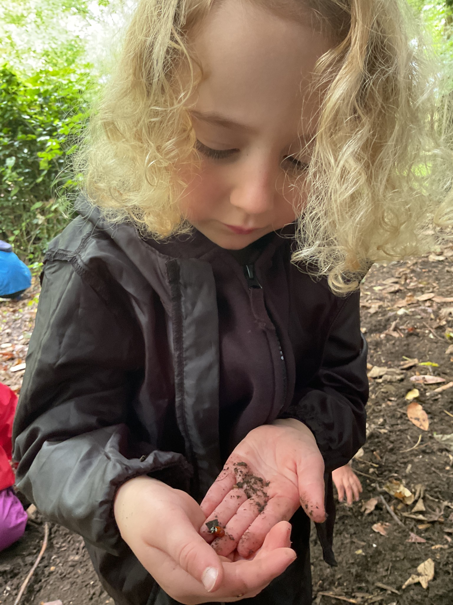 Bug hunt