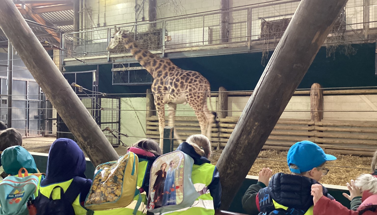 marwell