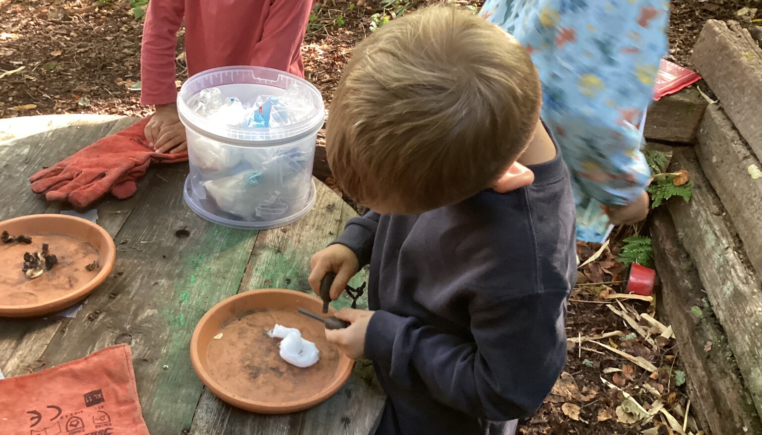 Forest school