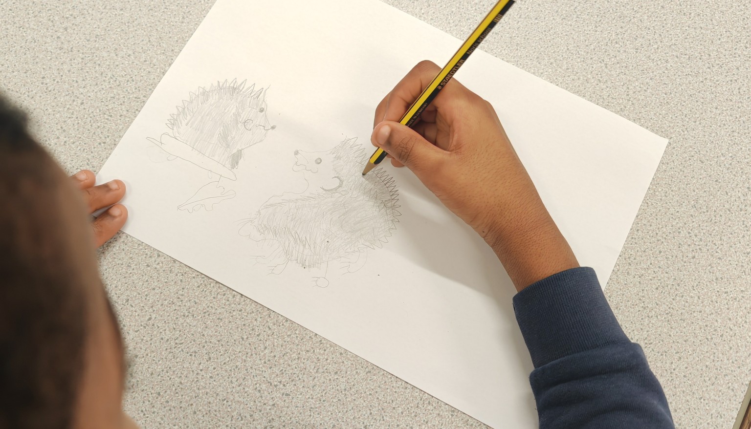 Working on our second hedgehog.
