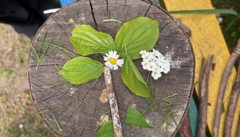 Using natural materials to create a piece of art.