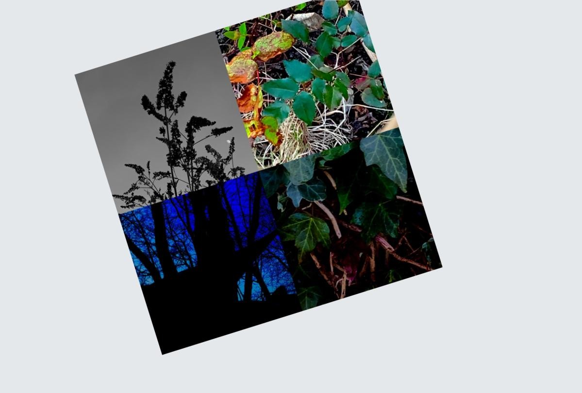 Eco