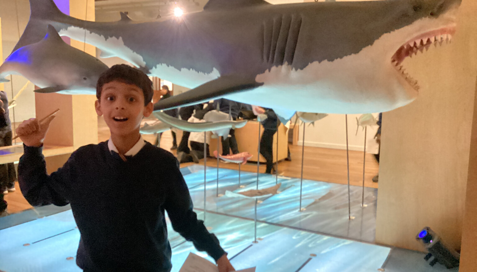 Enjoying the exhibition