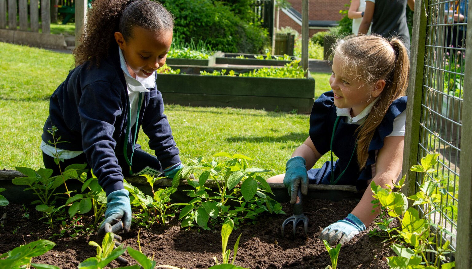 Edible Garden 