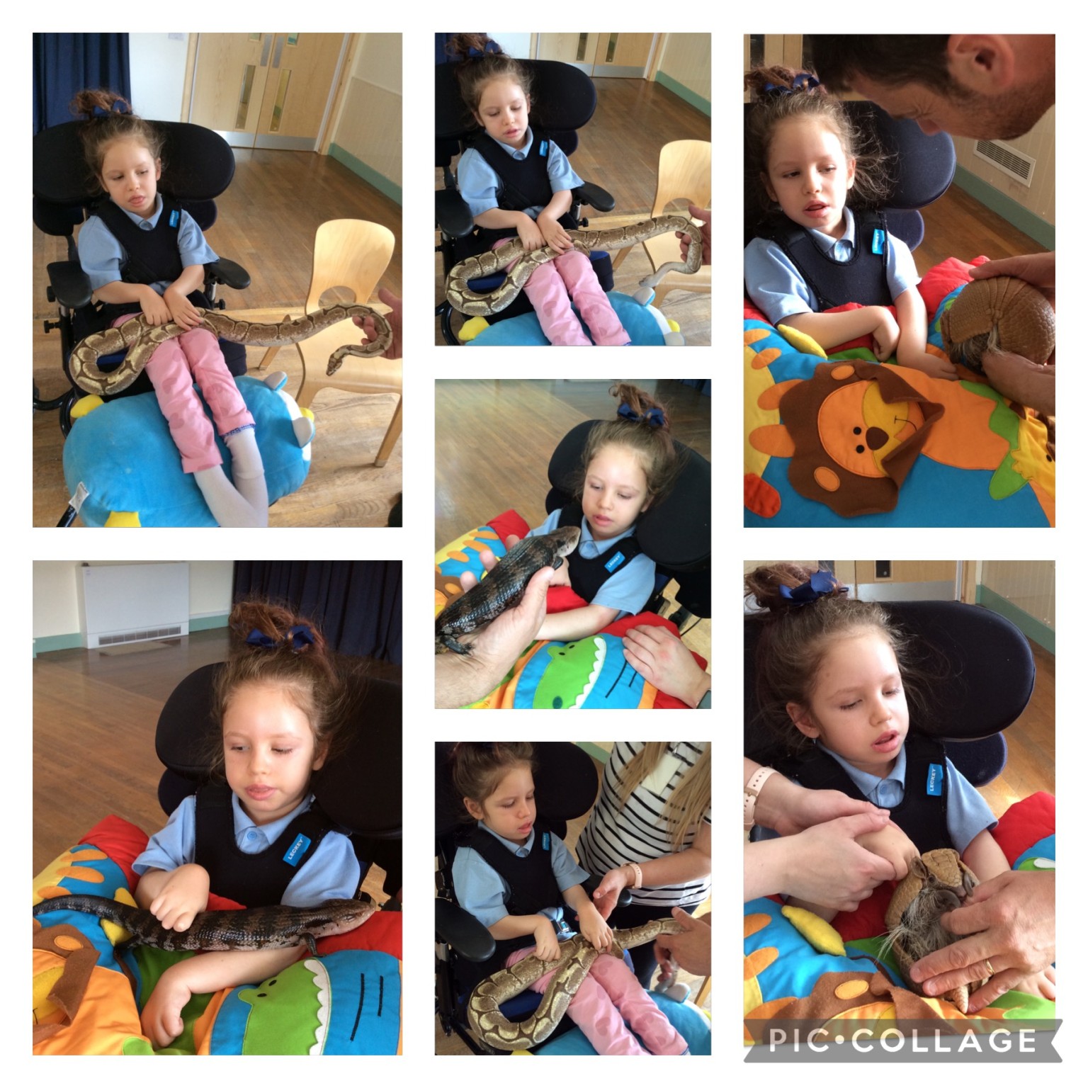 'Cool Creatures' came to visit 