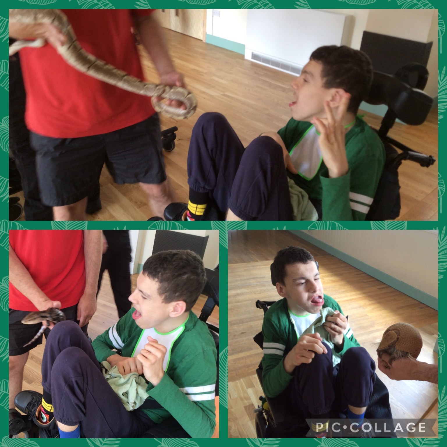 'Cool Creatures' came to visit 