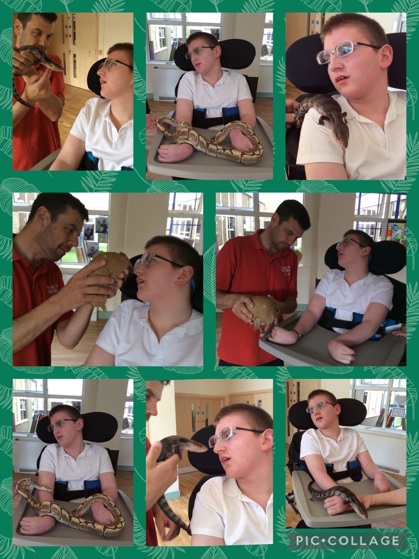 'Cool Creatures' came to visit