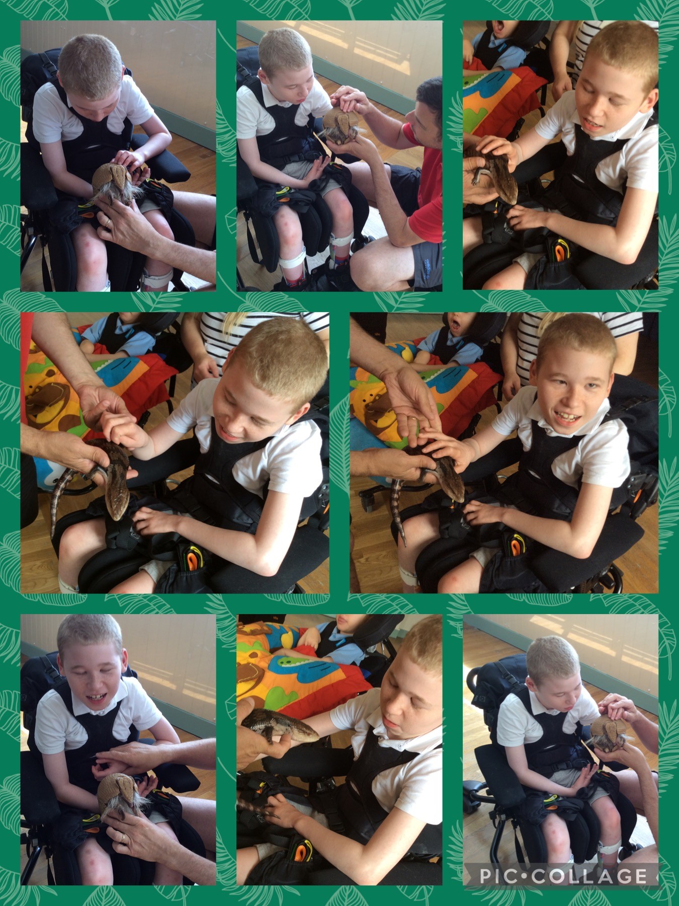 'Cool Creatures' came to visit 