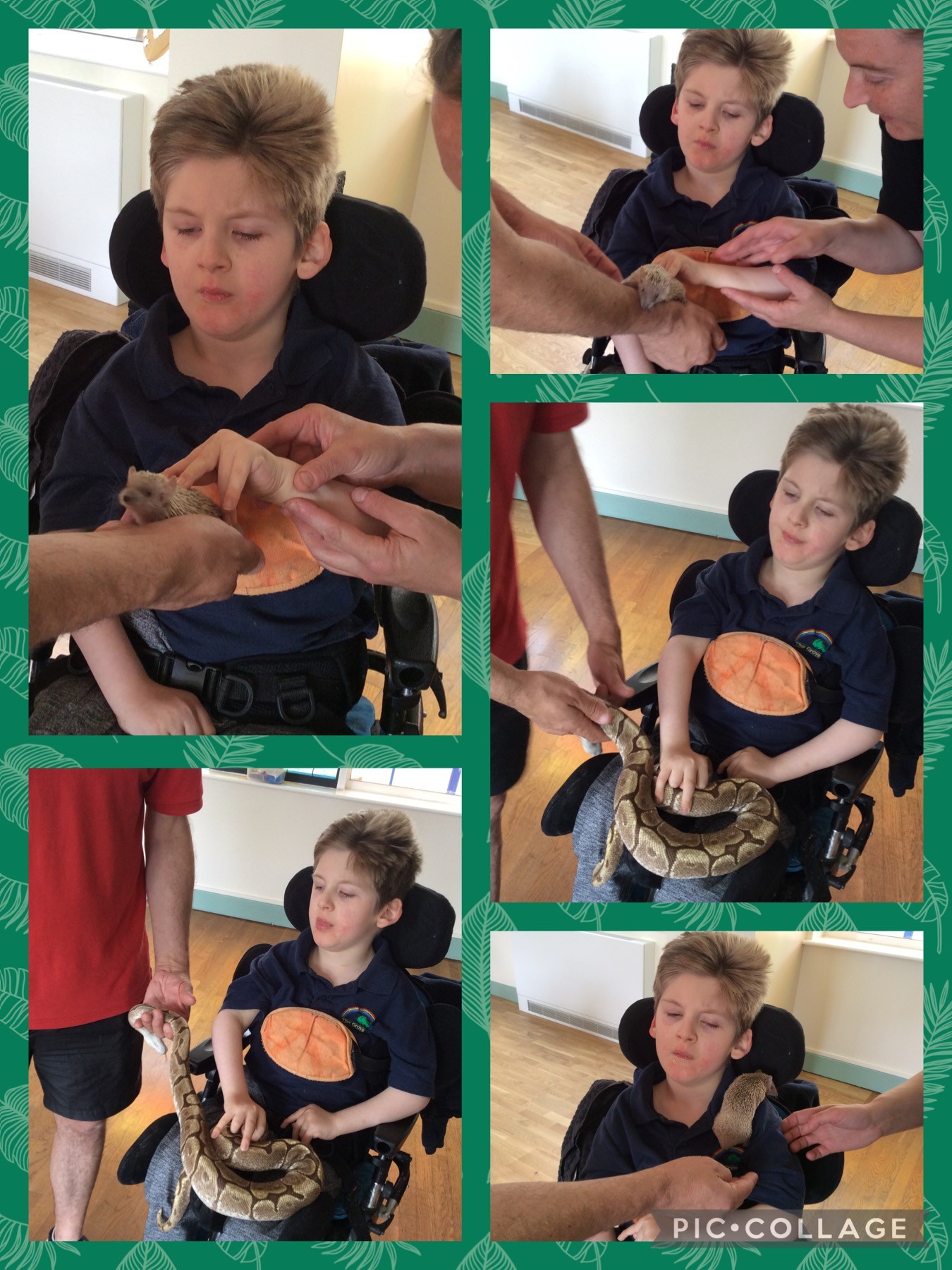 'Cool Creatures' came to visit 