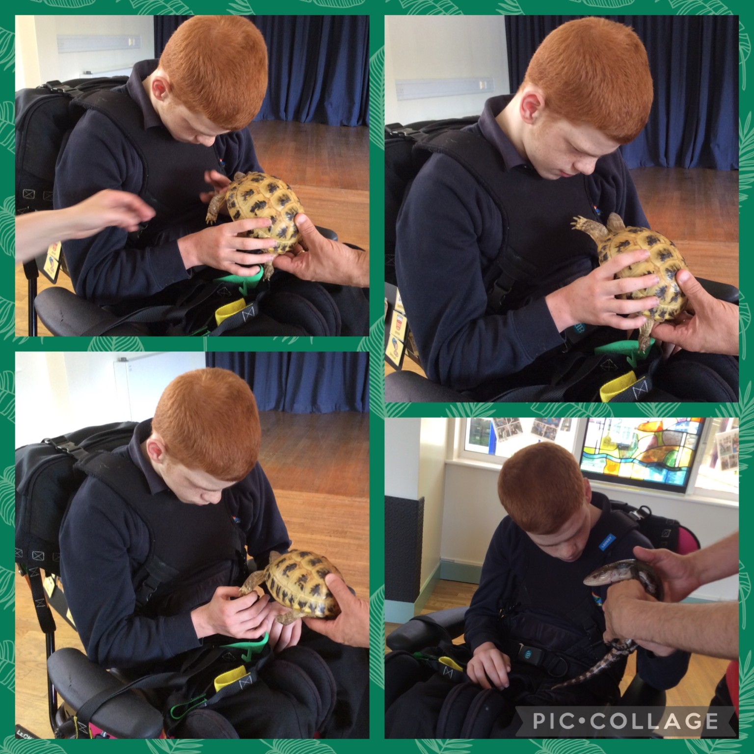 'Cool Creatures' came to visit 