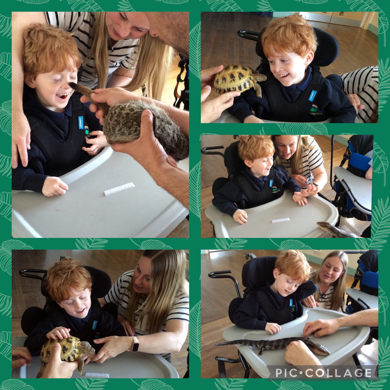 'Cool Creatures' came to visit 