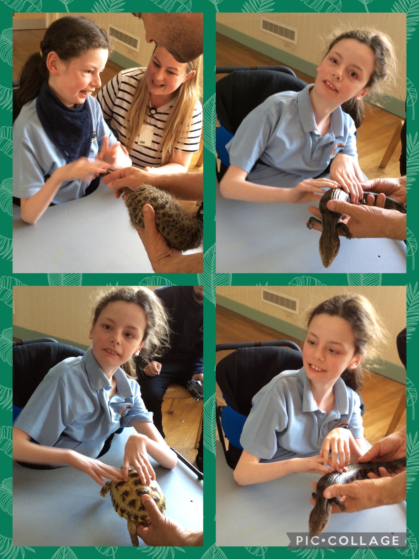 'Cool Creatures' came to visit 