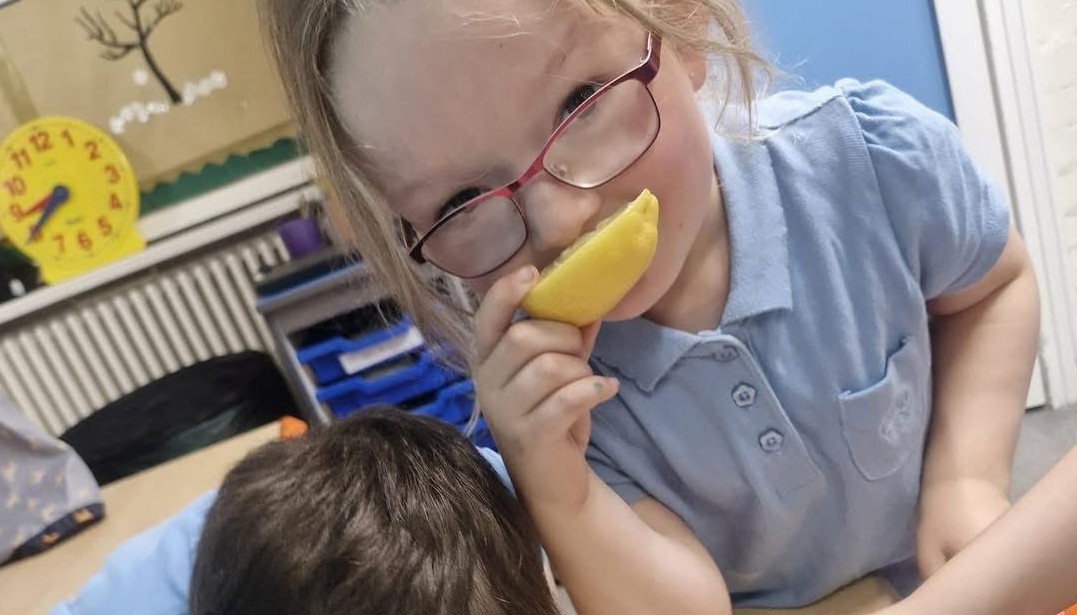 Year 1 have been testing and sorting fruits and vegetables.
