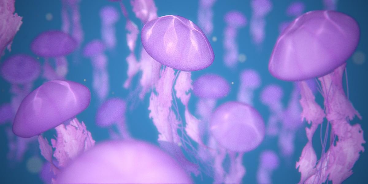We are the Jellyfish