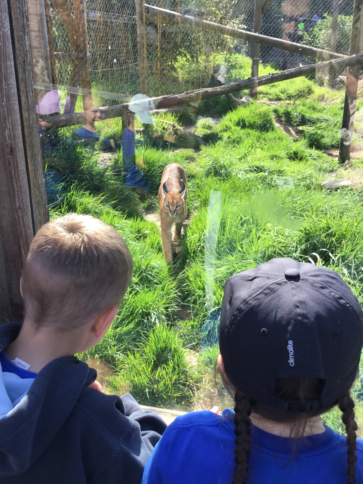 Exmoor Zoo Trip