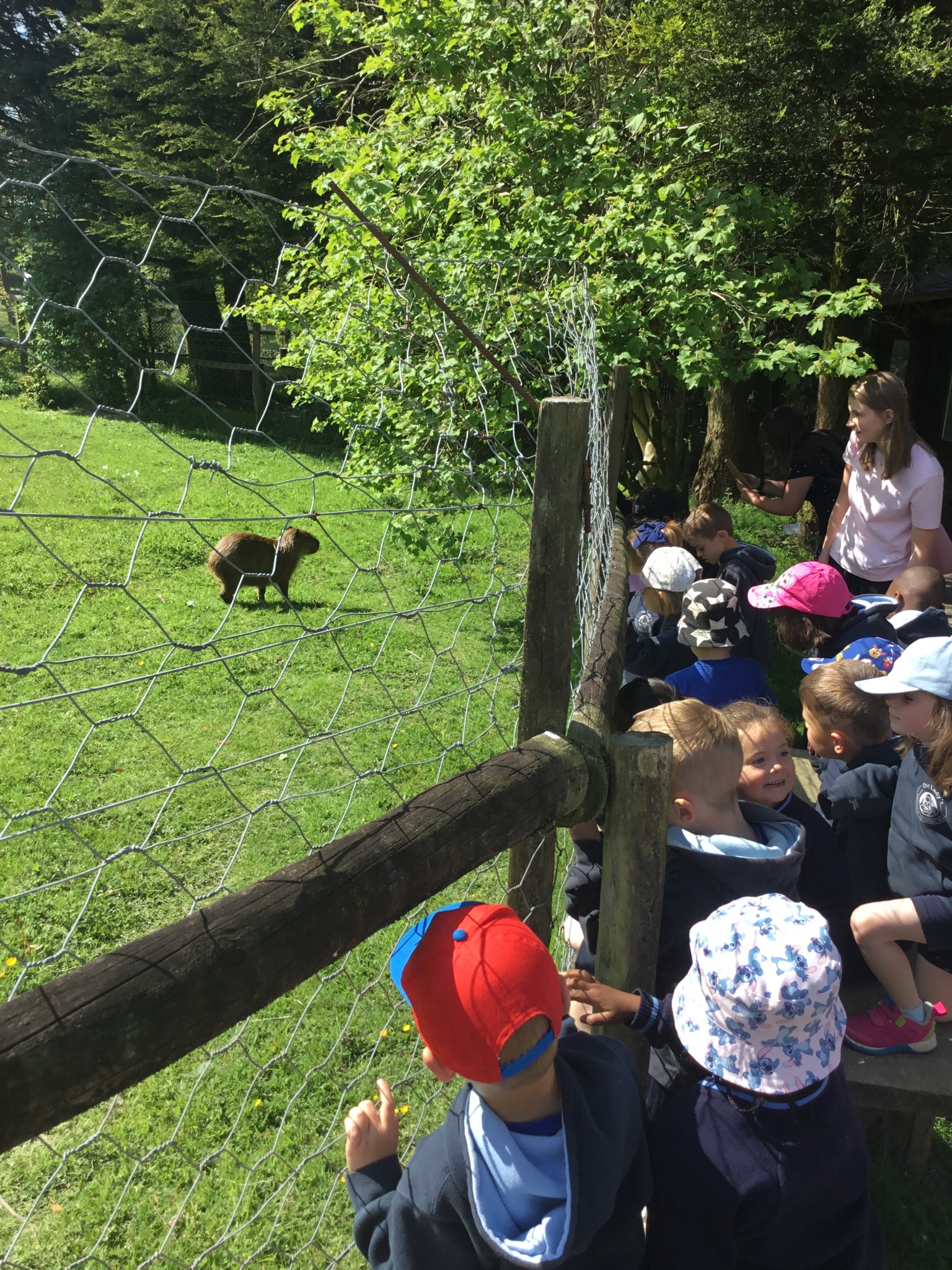 Exmoor Zoo Trip