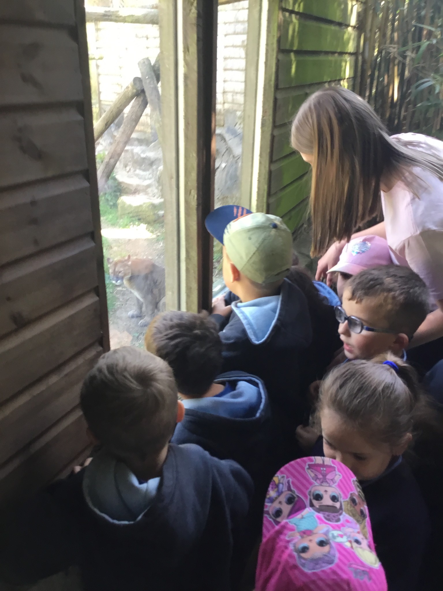 Exmoor Zoo Trip