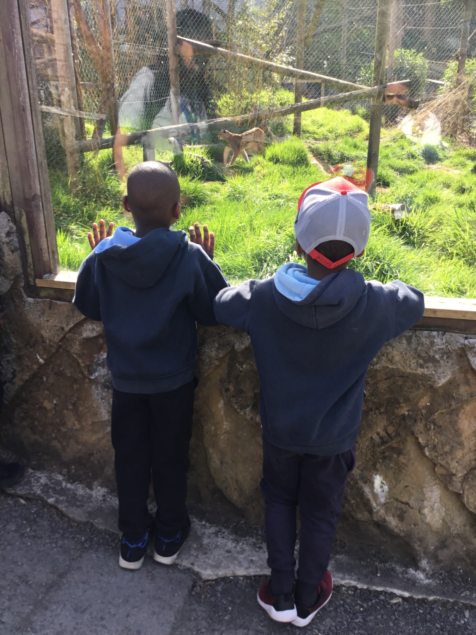 Exmoor Zoo Trip