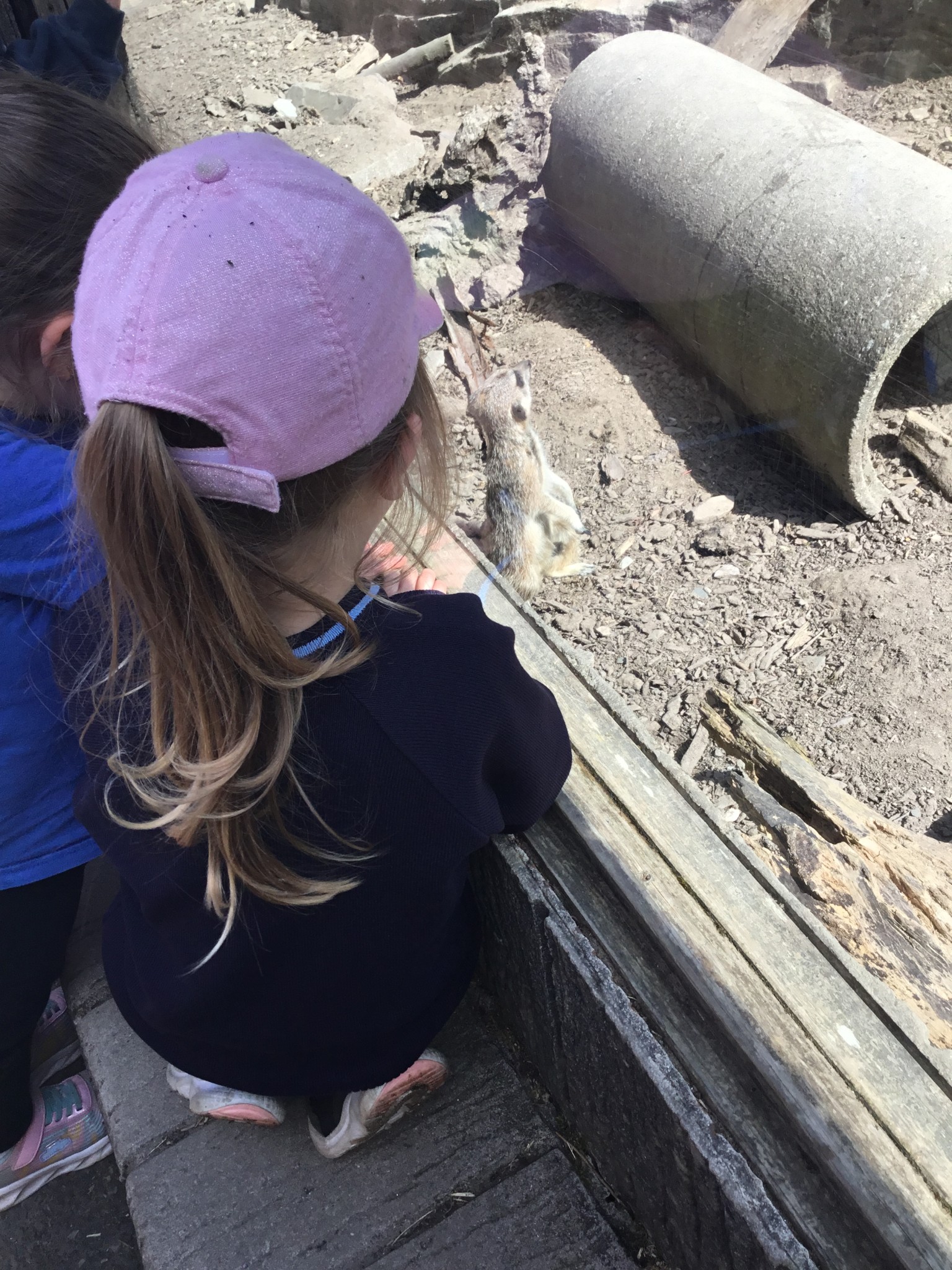 Exmoor Zoo Trip