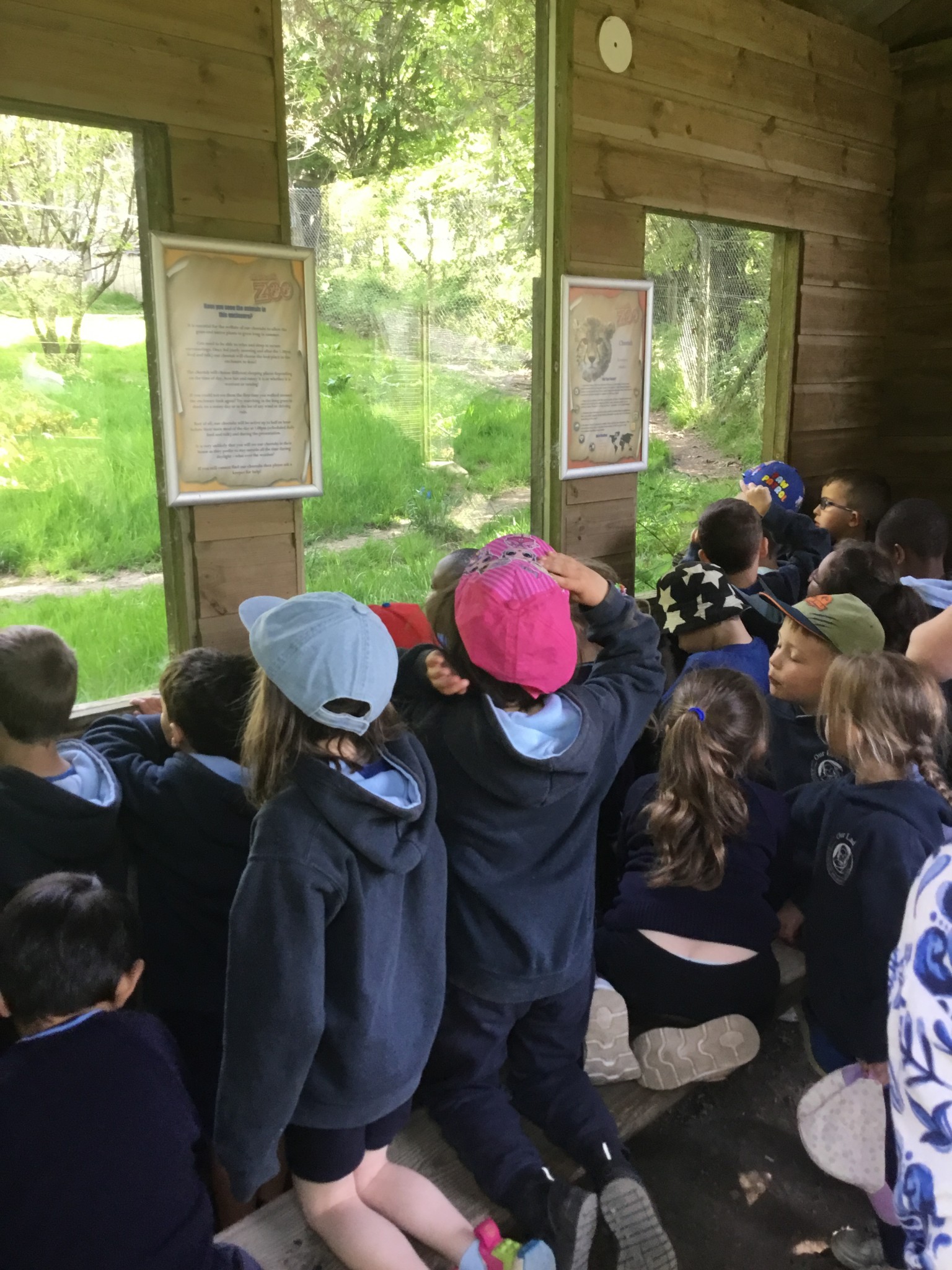 Exmoor Zoo Trip