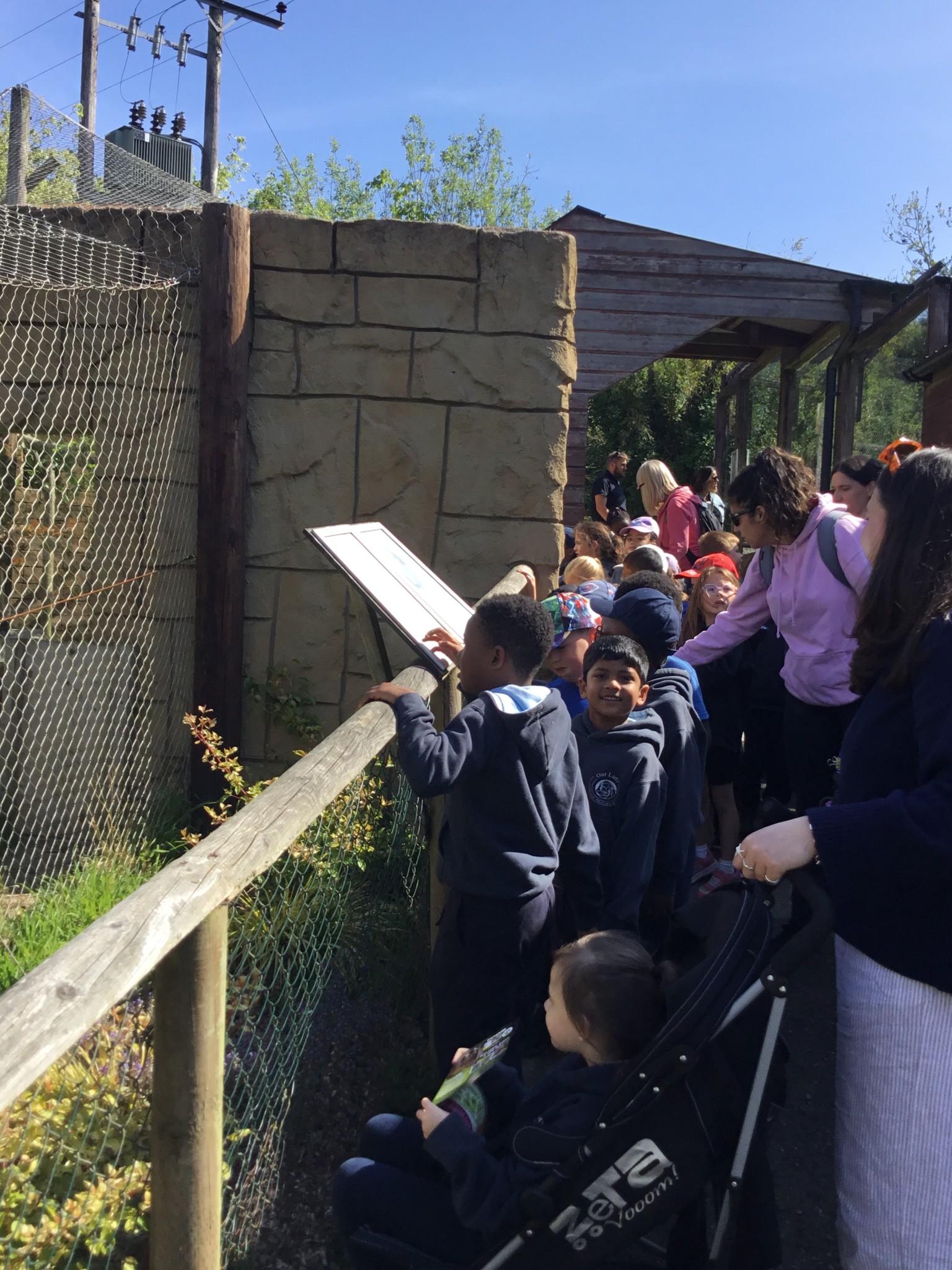 Exmoor Zoo Trip