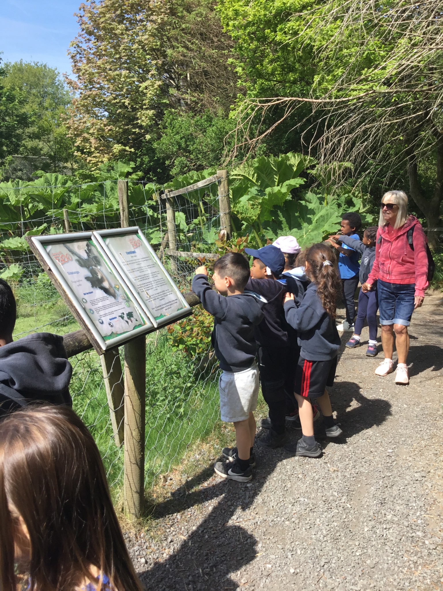 Exmoor Zoo Trip