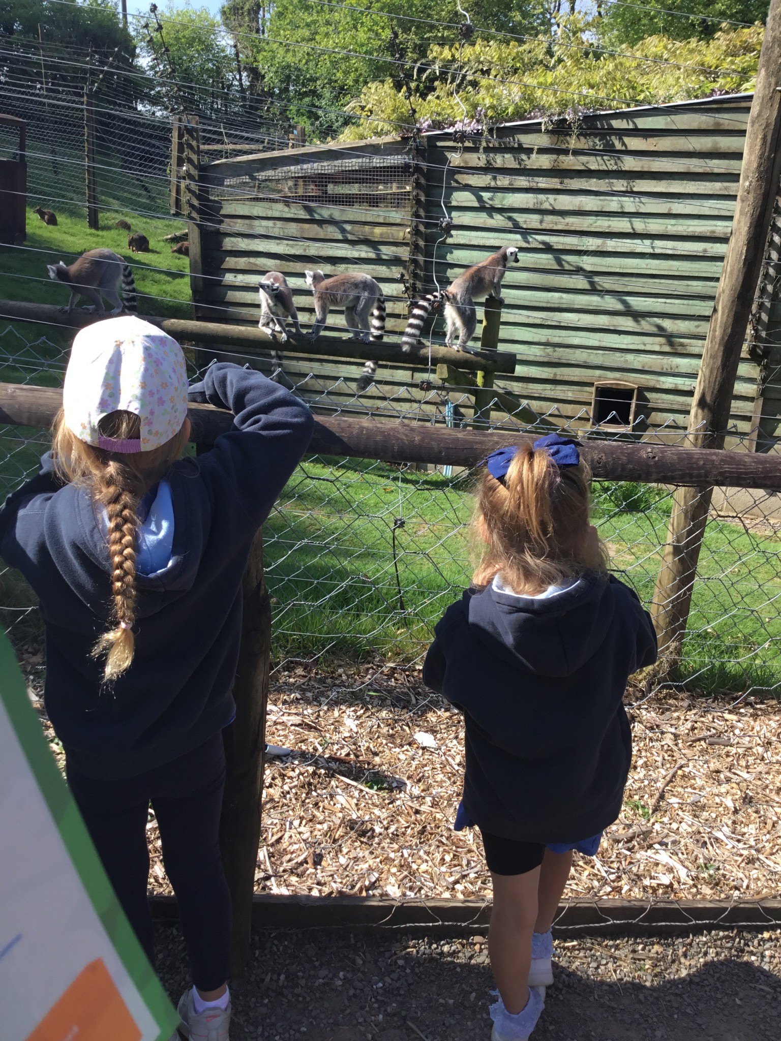 Exmoor Zoo Trip