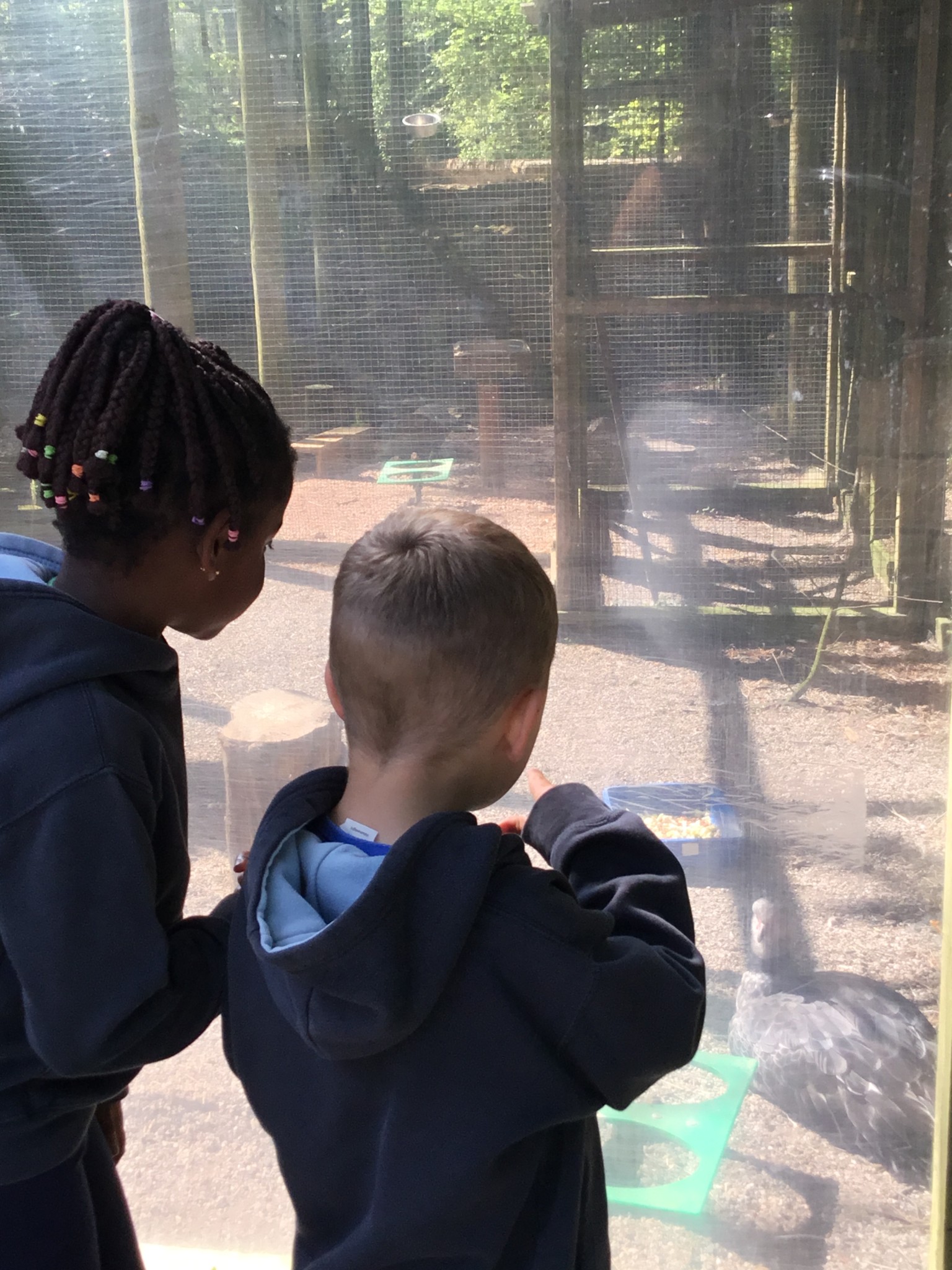 Exmoor Zoo Trip