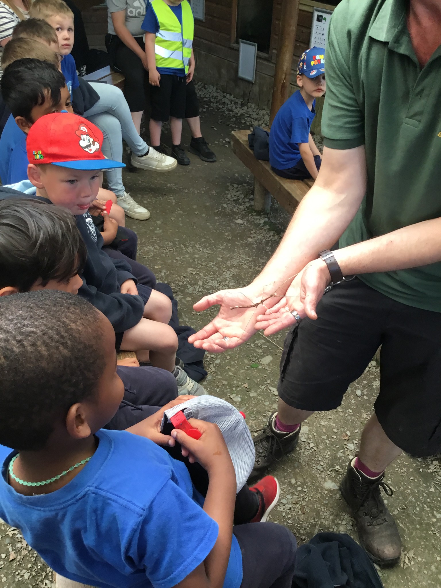 Exmoor Zoo Trip
